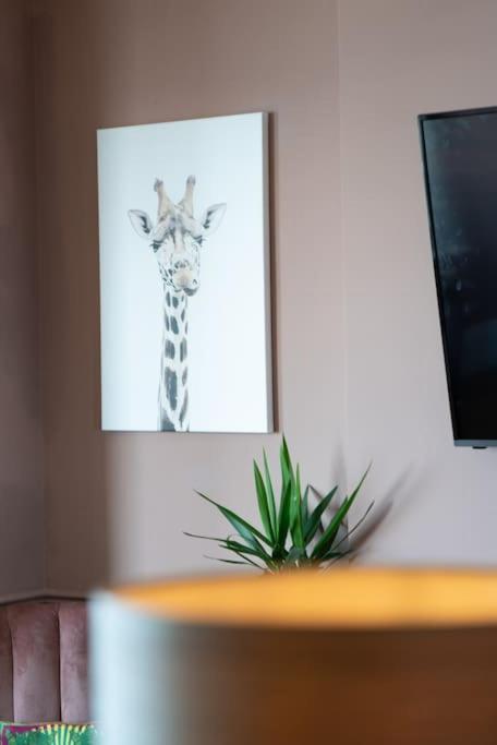 Stylish Beachfront Apartment, Sweeping Ocean Views And Luxury Touches 헌베이 외부 사진